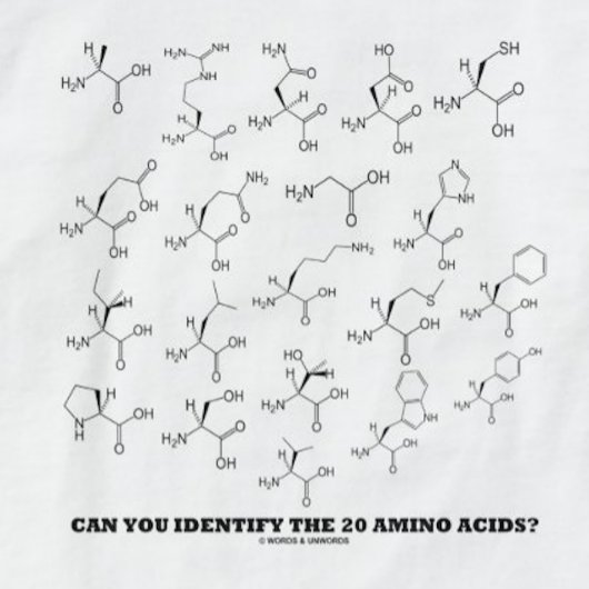 Kun je de 20 aminozuren identificeren? chemie t-shirt