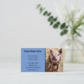 KuneKune Pig Breeder Visitekaartje (Staand voorkant)
