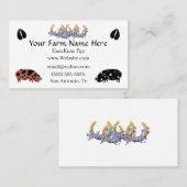 KuneKune Pig Visitekaartje (Voorkant / Achterkant)