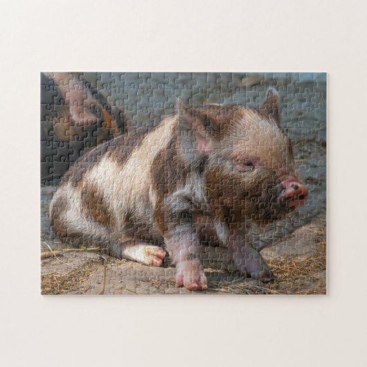KuneKune Piglet Legpuzzel (Horizontaal)