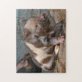 KuneKune Piglet Legpuzzel (Verticaal)
