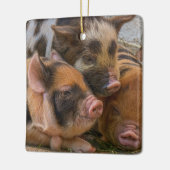 KuneKune Piglets Keramisch Ornament (Links)