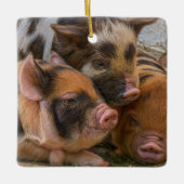 KuneKune Piglets Keramisch Ornament (Voorkant)