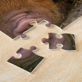 KuneKune Piglets Legpuzzel (Zijkant)