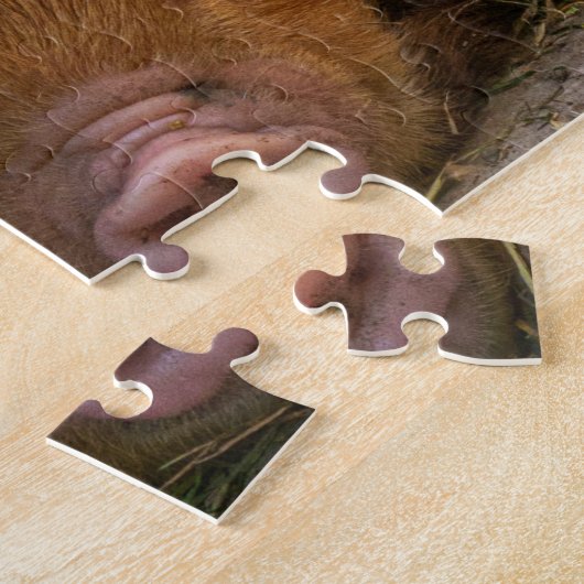 KuneKune Piglets Legpuzzel (Zijkant)