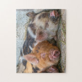 KuneKune Piglets Legpuzzel (Verticaal)