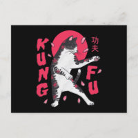 Kung Fu Cat