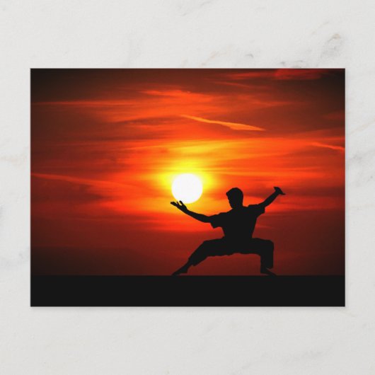 Kung Fu Fighting! Feestdagenkaart (Voorkant)