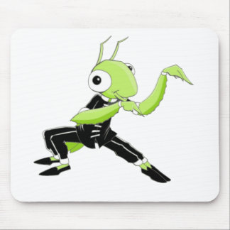 Kung Fu Praying Mantis Muismat