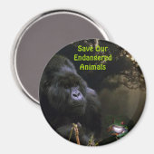 Kunga Mountain Gorilla & Frog Wildlife Art Magnet (Voorkant / Achterkant)