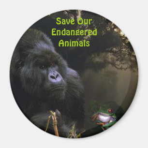 Kunga Mountain Gorilla & Frog Wildlife Art Magnet
