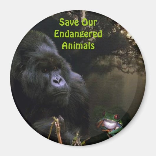 Kunga Mountain Gorilla & Frog Wildlife Art Magnet (Voorkant)
