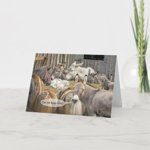 Kunnen we hem houden? Donkeys met Baby Jesus Kerst Kaart
