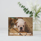 Kunnen we nu naar huis gaan? briefkaart (Staand voorkant)