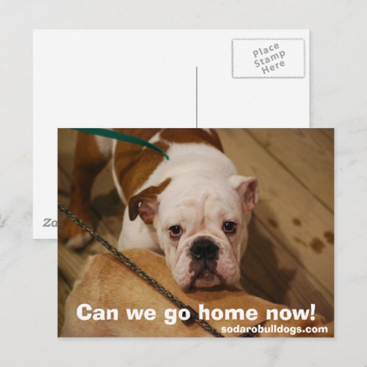 Kunnen we nu naar huis gaan? briefkaart (Voorkant / Achterkant)