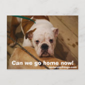 Kunnen we nu naar huis gaan? briefkaart (Voorkant)