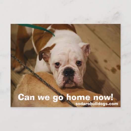 Kunnen we nu naar huis gaan? briefkaart (Voorkant)