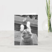 Kunnen we vrienden zijn? kaart