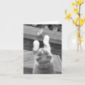 Kunnen we vrienden zijn? kaart (Gele Bloem)