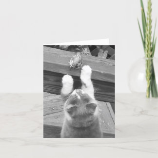 Kunnen we vrienden zijn? kaart