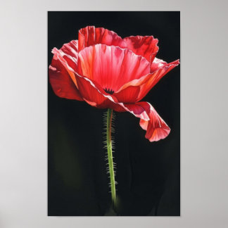 Kunst aan de muur. Bloem in de zwartheid Poster