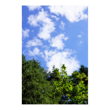 Kunst aan de wand Esdoornbomen Blauwe Lucht Witte
