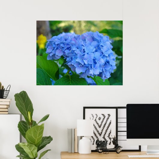 Kunst Afbeeldingen Blauw Hydrangea Floral Garden Poster (Thuiskantoor)