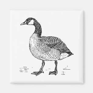 Kunst Canadese Gans Natuur Tekening Magneet