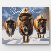 Kunst Decor -Yellowstone Fotoplaat (Voorkant)