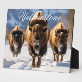 Kunst Decor -Yellowstone Fotoplaat (Zijkant)