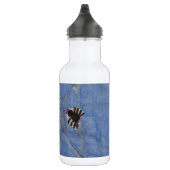 Kunst door kinderen, spin met cobweb, tekenen waterfles  (Rechts)