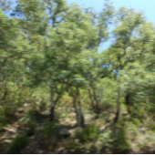 KUNST EN DESIGN SLEUTELHANGER