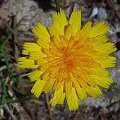 KUNST EN DESIGN SLEUTELHANGER