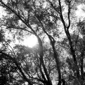 KUNST EN DESIGN SLEUTELHANGER