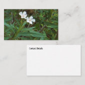 KUNST EN DESIGN VISITEKAARTJES (Voorkant / Achterkant)