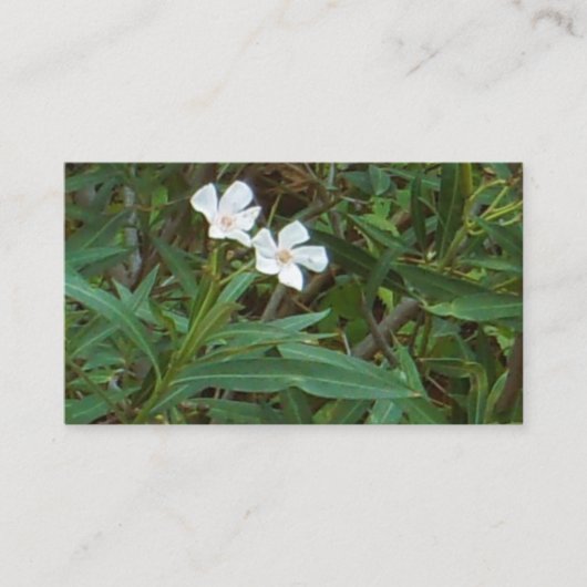 KUNST EN DESIGN VISITEKAARTJES (Voorkant)