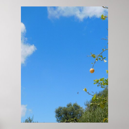 KUNST EN ONTWERP MUUR POSTER (Voorkant)