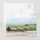 Kunst getekend door Hongaarse grijze katten Briefkaart (Voorkant / Achterkant)