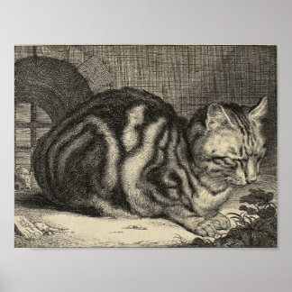  kunst - grote kat poster