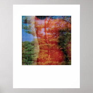Kunst Hoesje - Boom en rug - Griego Poster