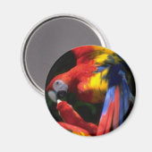 Kunst in Love Magnet (Voorkant / Achterkant)