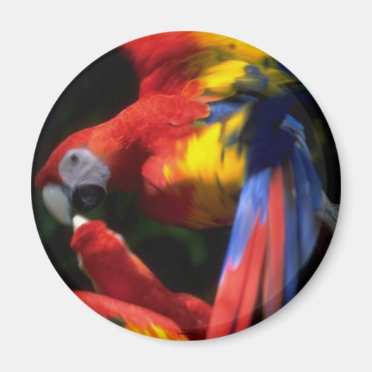 Kunst in Love Magnet (Voorkant)