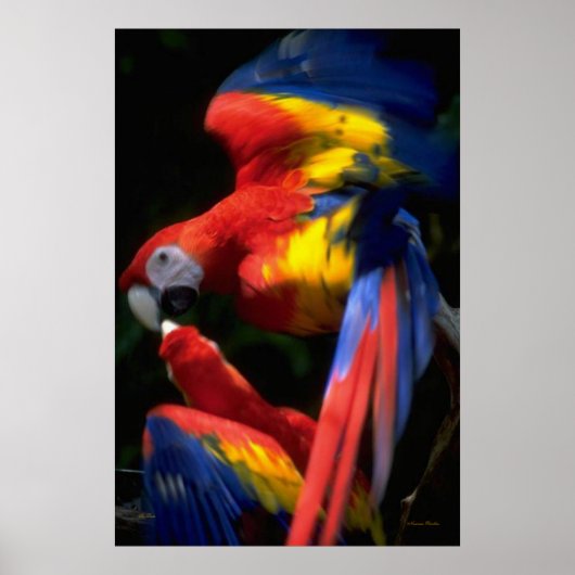 Kunst in Love Poster (Voorkant)