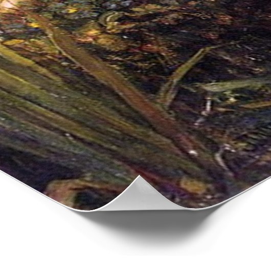  Kunst John W. Waterhouse Hylas en Nymphs Poster (Hoek)