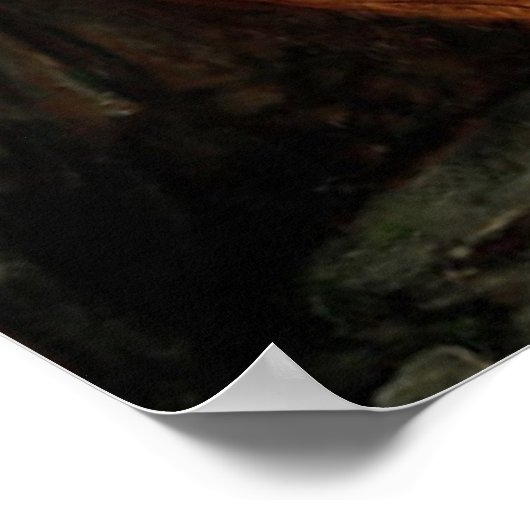  kunst John William Waterhouse Psyche Poster (Hoek)