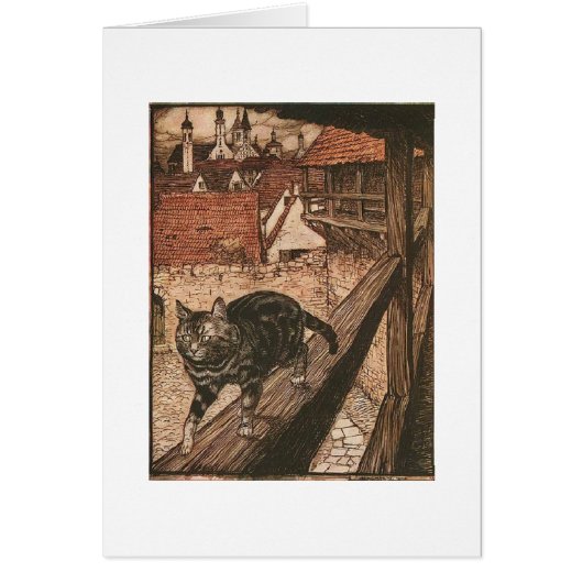  kunst - Kat's avontuur, (Voorkant)