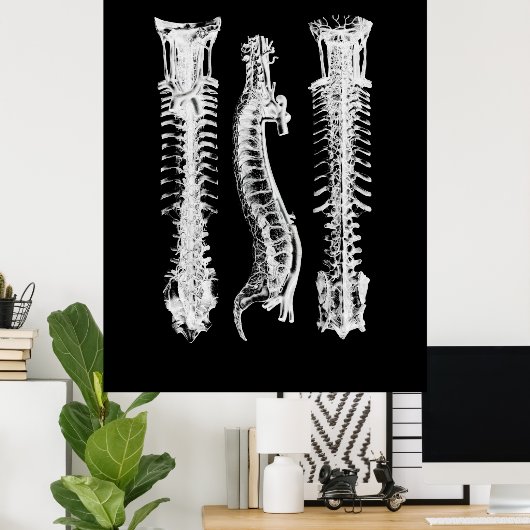 Kunst met anatomie van wervelkolom poster (Thuiskantoor)