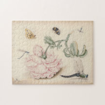  Kunst met een bleke roze roze roos en insecten