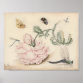  Kunst met een bleke roze roze roos en insecten Poster (Voorkant)