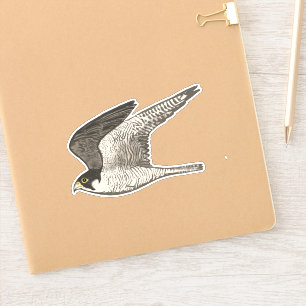 Kunst met gekleurd potlood in vliegende valk sticker